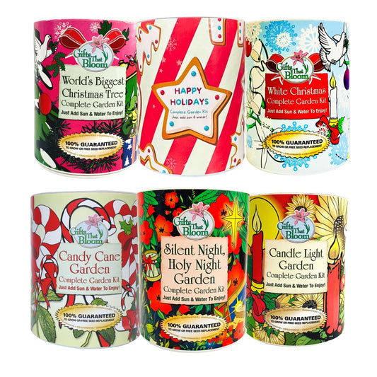 🌿 Grow Joy This Season: Why Garden Seed Kits Make the Perfect Holiday Gift