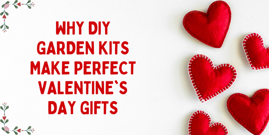 Embrace Love and Growth: Why DIY Garden Kits Make Perfect Valentine's Day Gifts