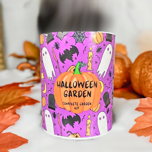🎃 Why Our Fall & Halloween Pumpkin Seed Kits Make the Perfect Gift for All Ages