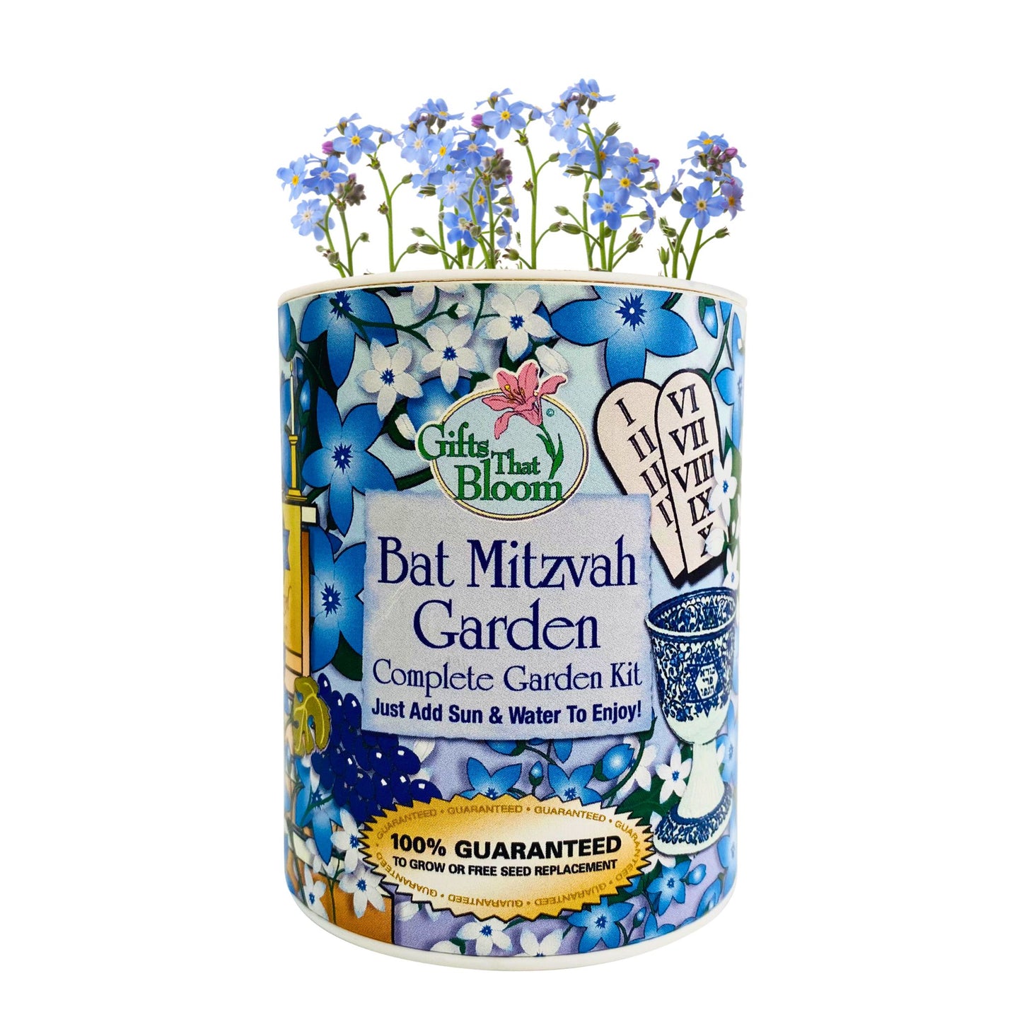 Bat Mitzvah Garden Grocan Seed Kit