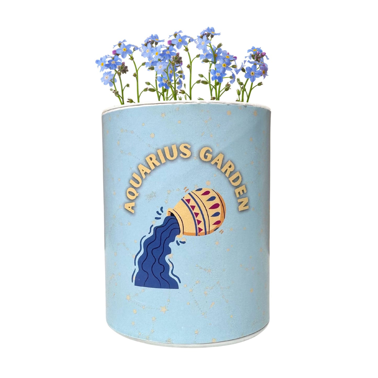 Aquarius Zodiac Garden Grocan Seed Kit