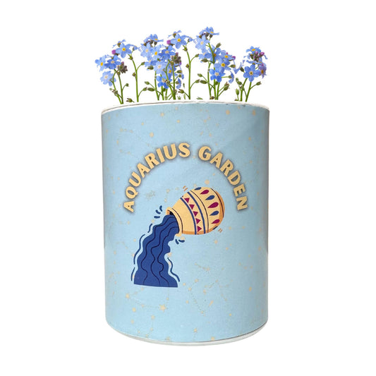 Aquarius Zodiac Garden Grocan Seed Kit