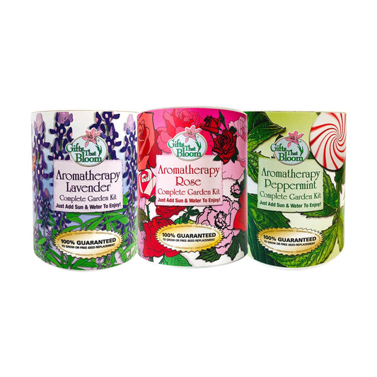 Aromatherapy Pre-Pack Seed Kit