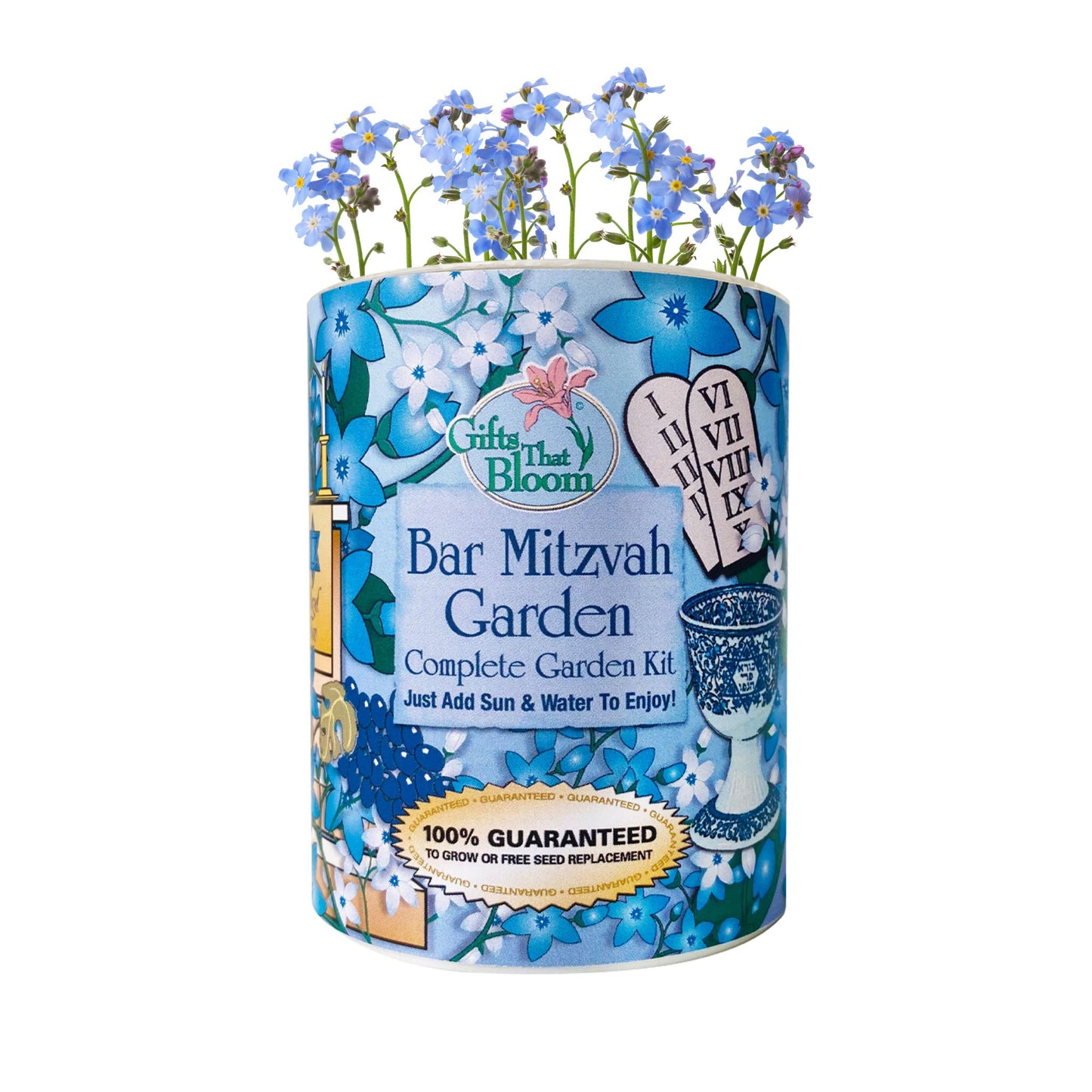 Bar Mitzvah Garden Grocan Seed Kit