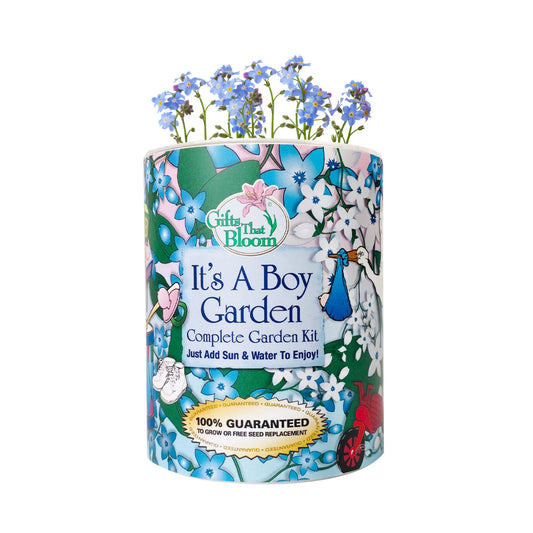 It's A Boy Garden Grocan Seed Kit