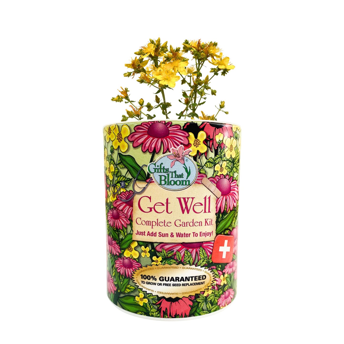 Get Well Garden Grocan Seed Kit