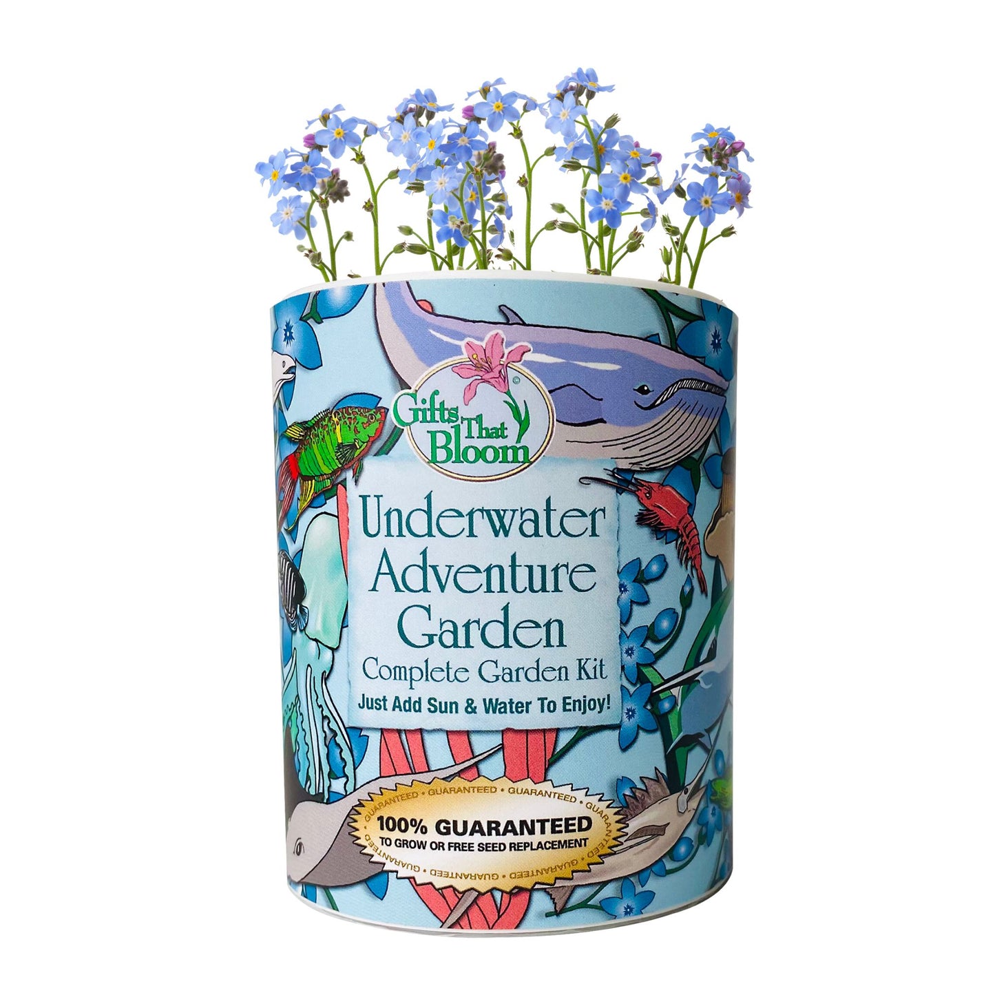 Underwater Adventure Garden Grocan Seed Kit