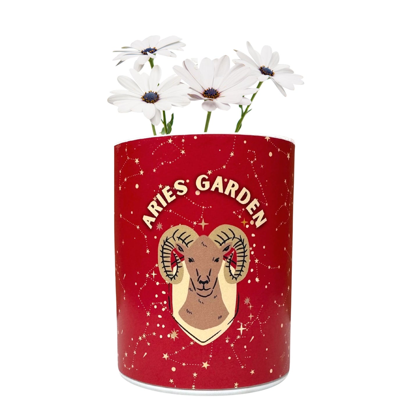 Aries Zodiac  Garden Grocan Seed Kit