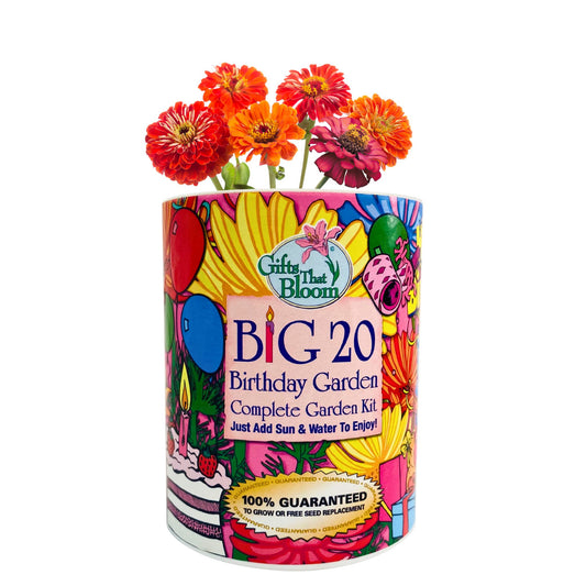 Big 20 Birthday Garden Grocan Seed Kit
