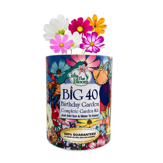 Big 40 Birthday Garden Grocan Seed Kit
