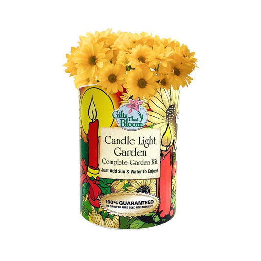 Candle Light Garden Grocan Seed kit