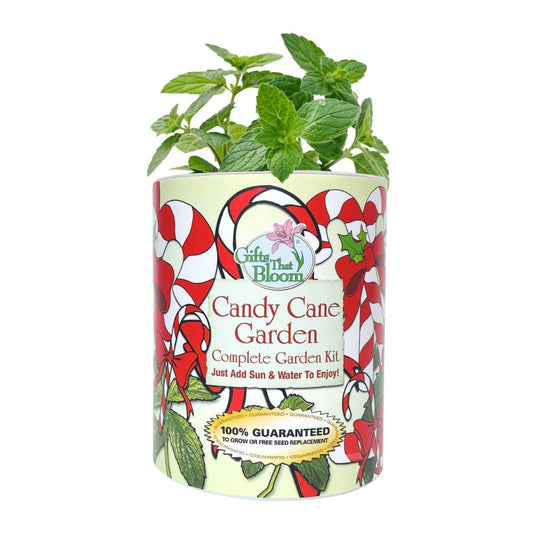 Candy Cane Garden Grocan Seed Kit