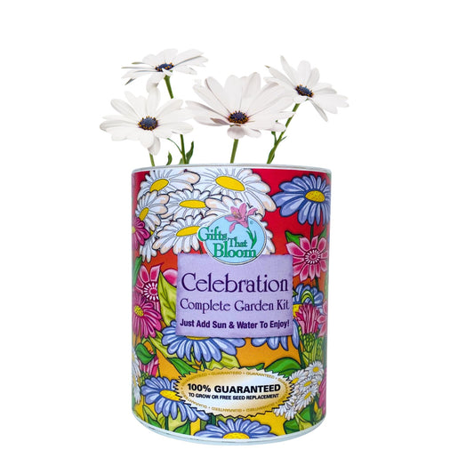 Celebration Garden Grocan Seed Kit