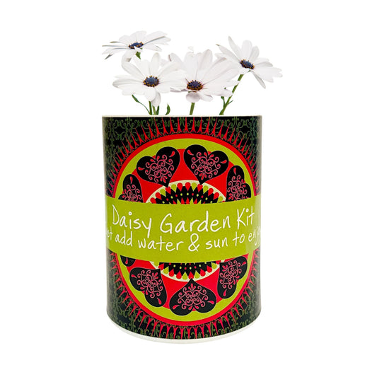 Daisy Garden Grocan Seed Kit