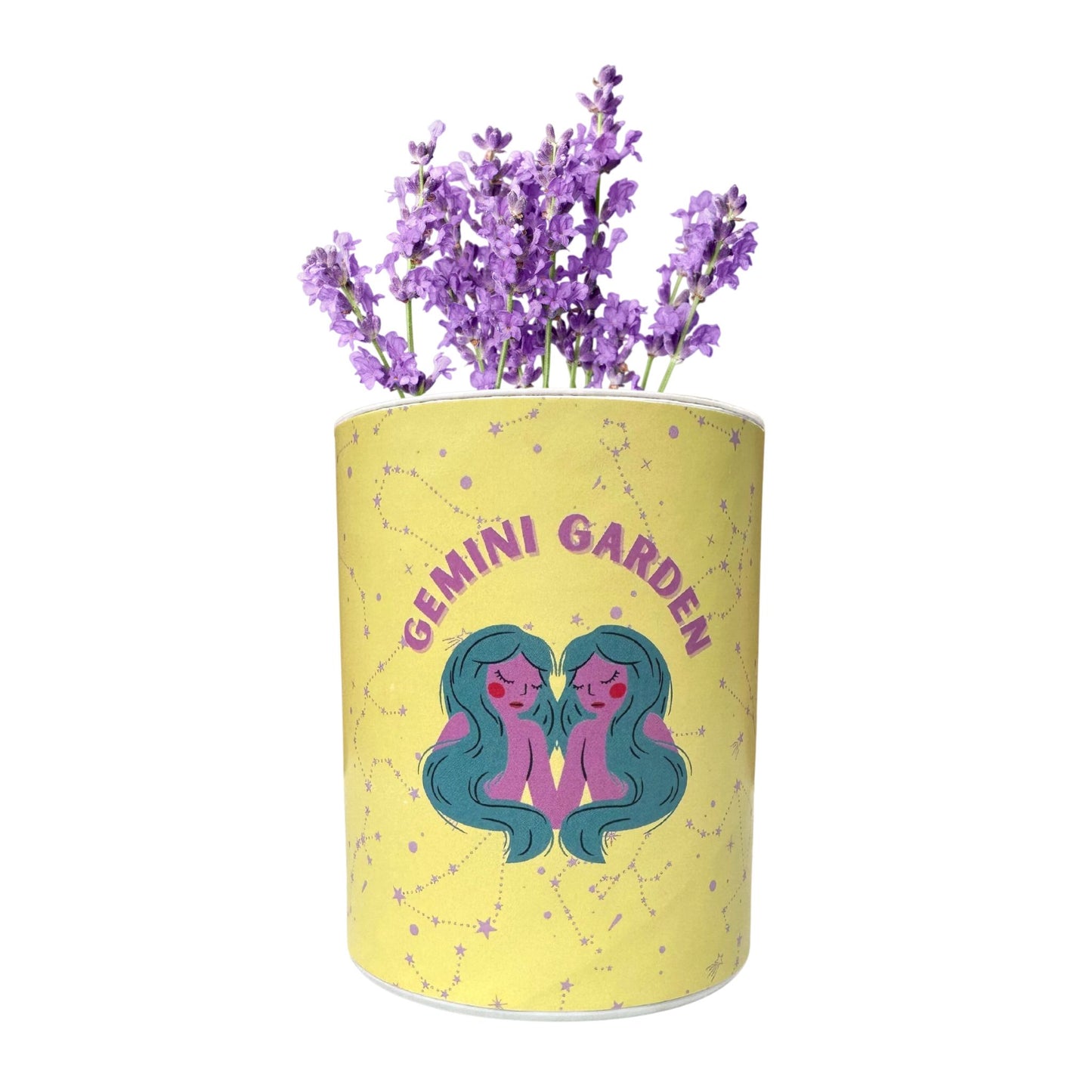 Gemini Zodiac Garden Grocan Seed Kit