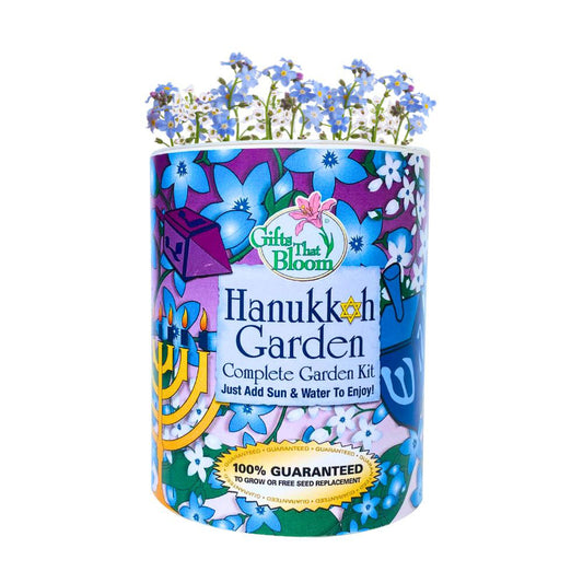 Hanukkah Garden Grocan Seed Kit