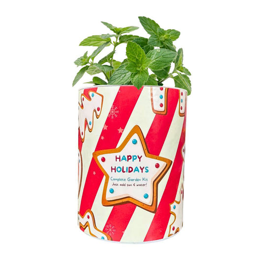 Happy Holidays Garden Grocan Seed Kit