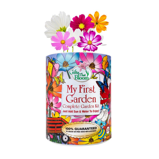 My First Garden Grocan Seed Kit