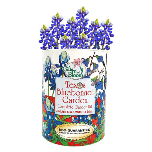 Texas Bluebonnet Garden Grocan Seed Kit