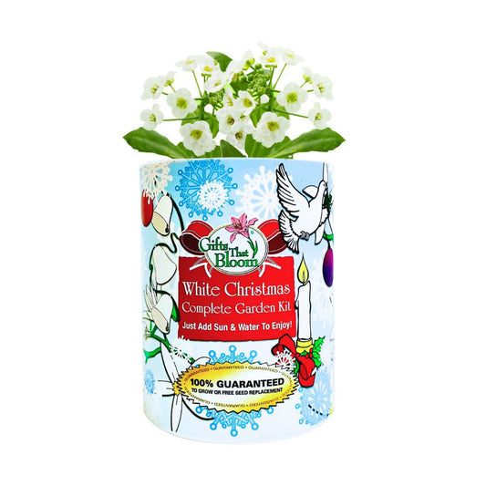 White Christmas Garden Grocan Seed Kit
