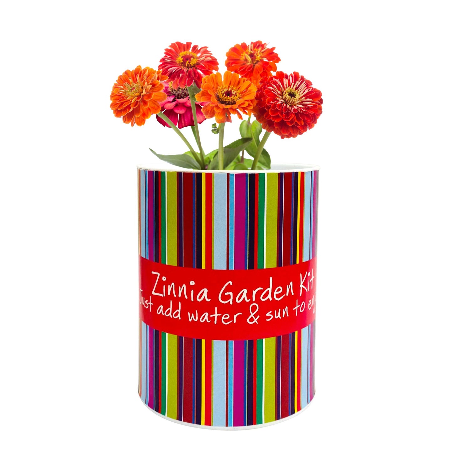 Zinnia Garden Grocan Seed Kit