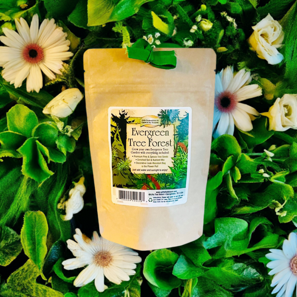 Evergreen Tree Garden Grobag Seed Kit