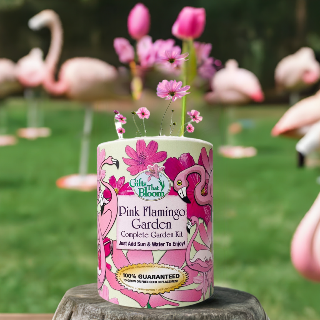 Pink Flamingo Garden Grocan Seed Kit