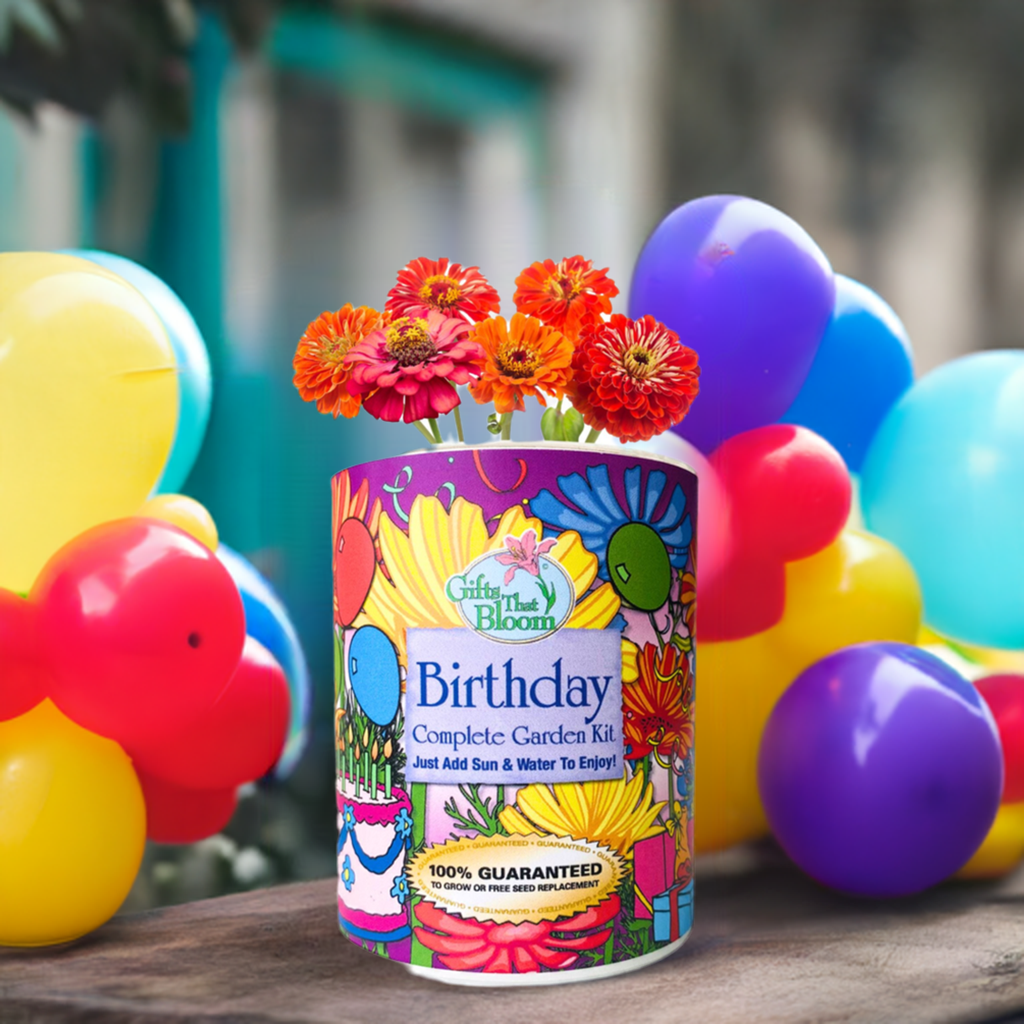 Birthday Garden Grocan Seed Kit