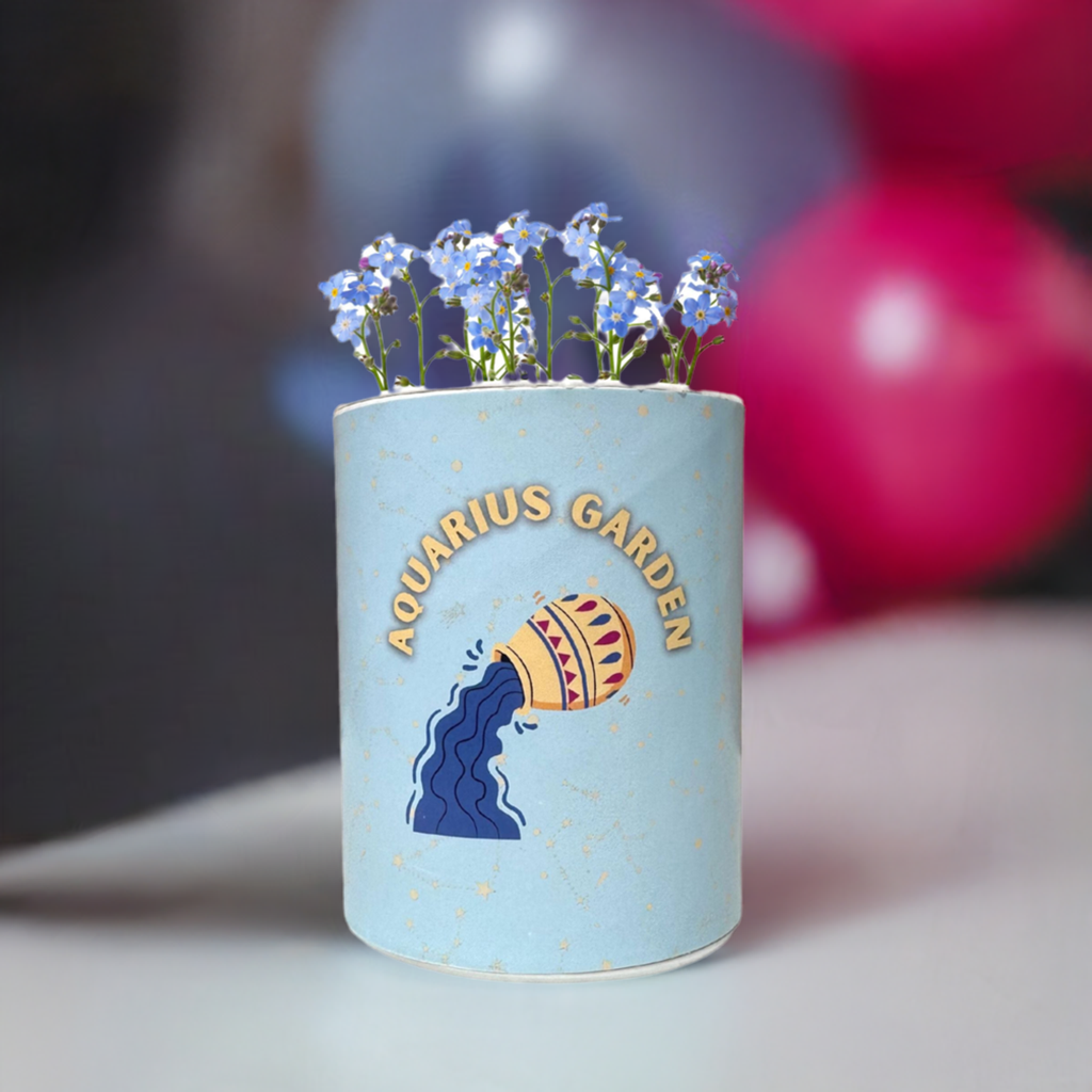 Aquarius Zodiac Garden Grocan Seed Kit