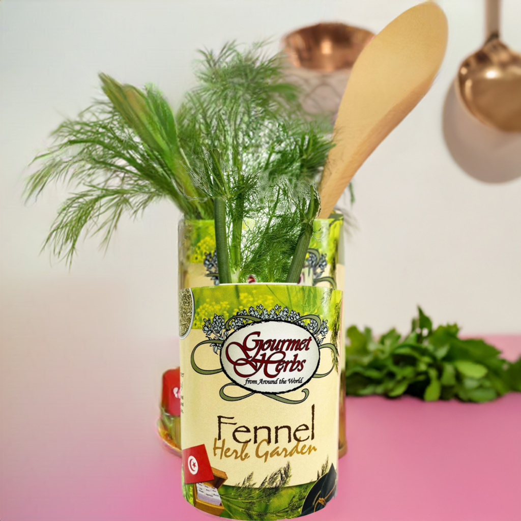 Fennel Herb Garden Grocan Seed Kit