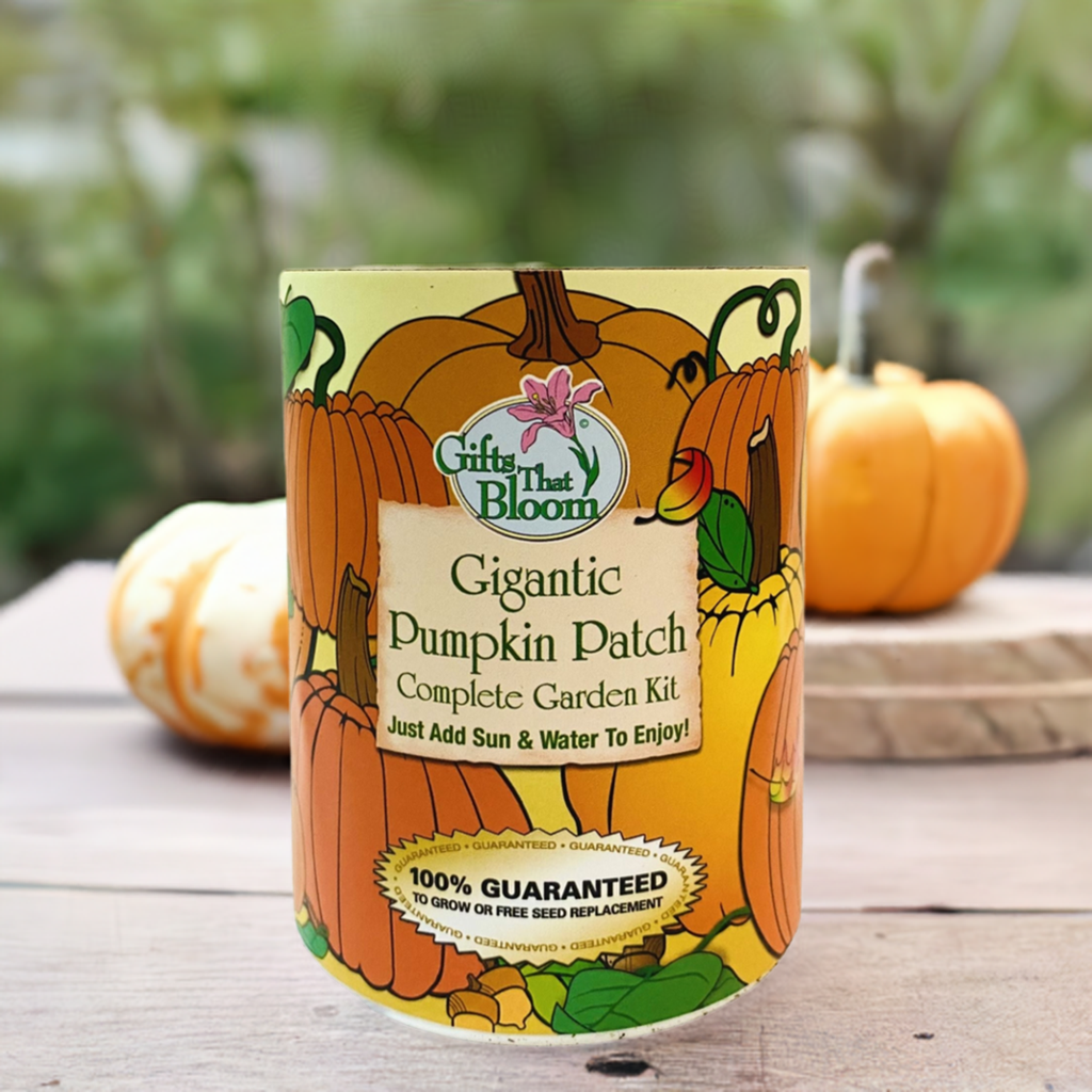 Gigantic Pumpkin Patch Garden Grocan Seed Kit