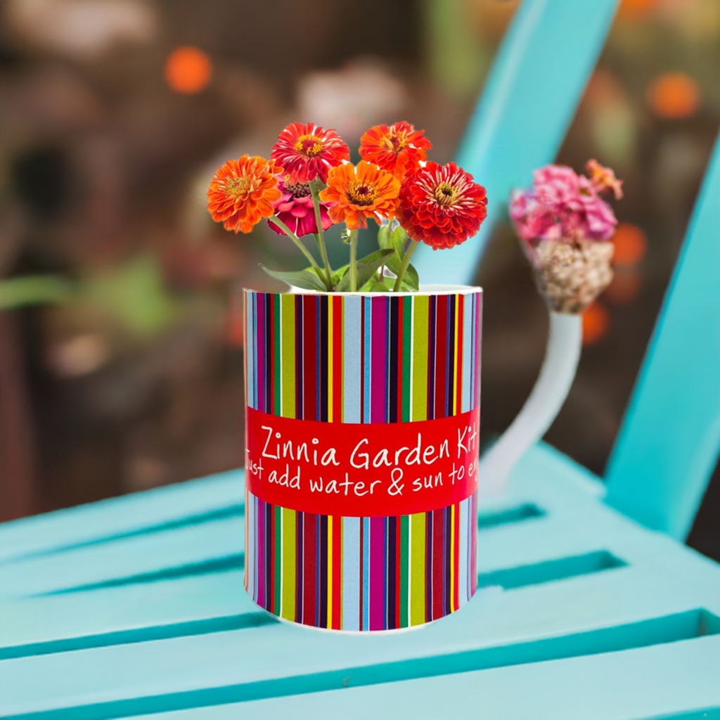 Zinnia Garden Grocan Seed Kit