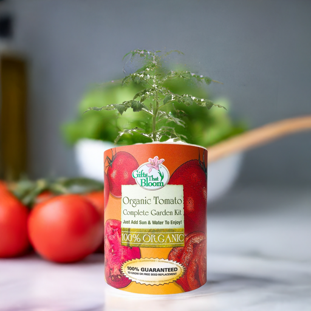 Organic Tomato Garden Grocan Seed Kit