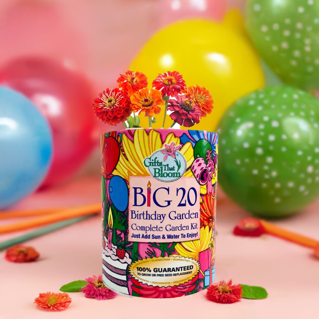 Big 20 Birthday Garden Grocan Seed Kit