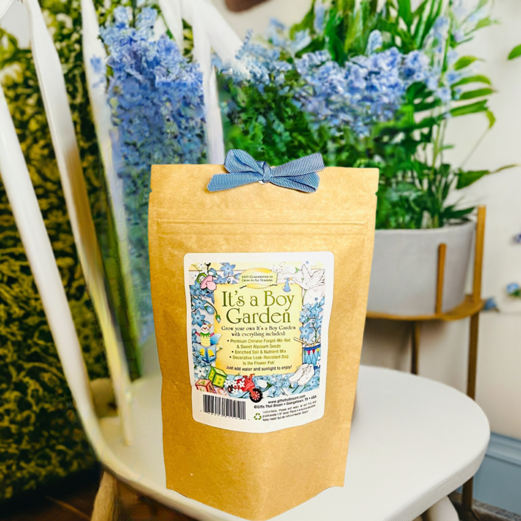 It's a Boy Garden Grobag Seed Kit