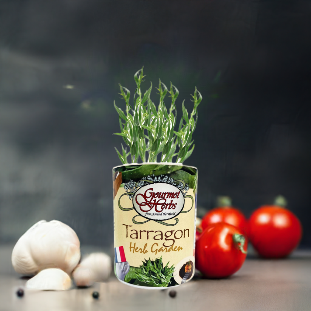 Tarragon Herb Garden Grocan Seed Kit