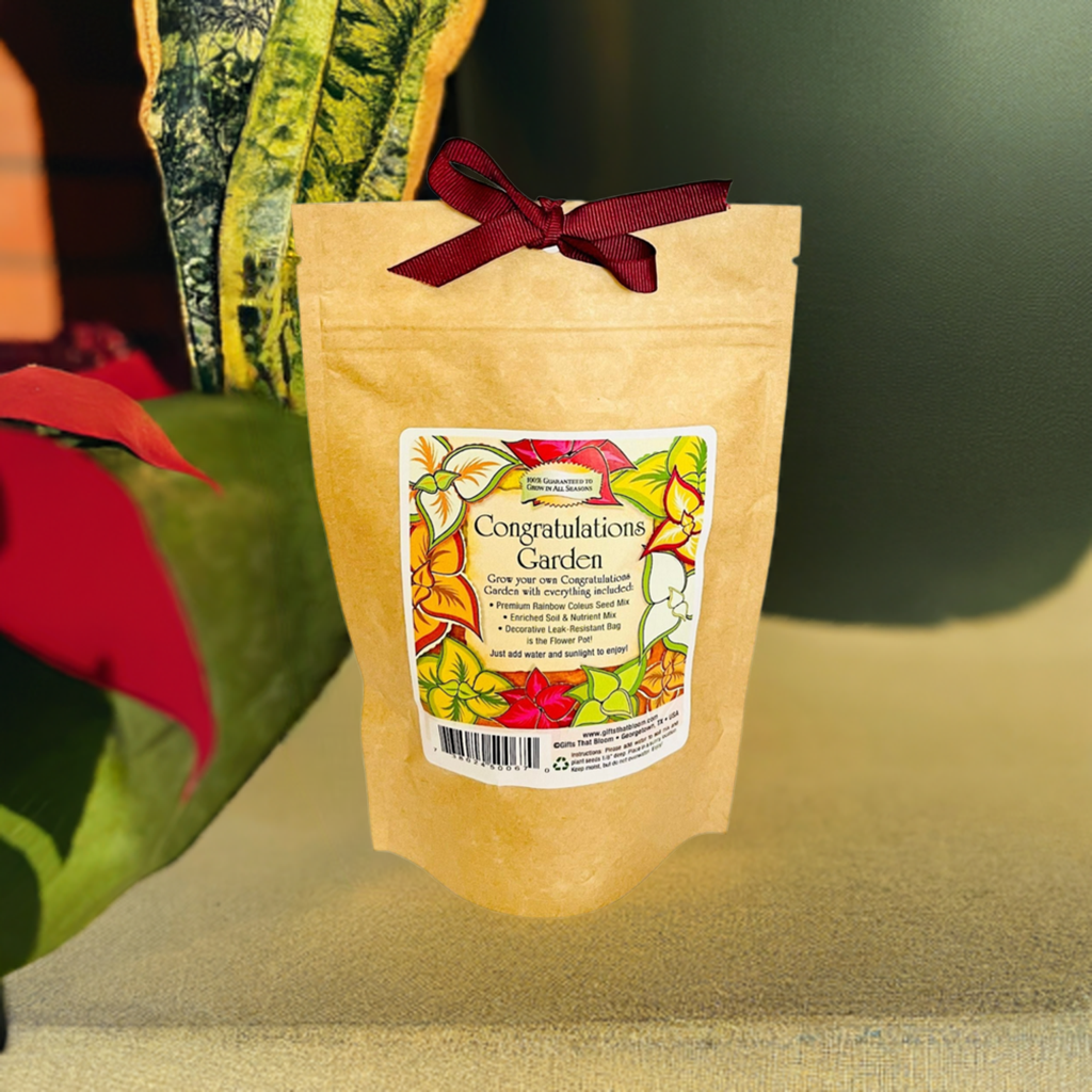 Congratulations Garden Grobag Seed Kit