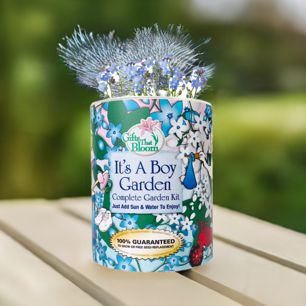 It's A Boy Garden Grocan Seed Kit
