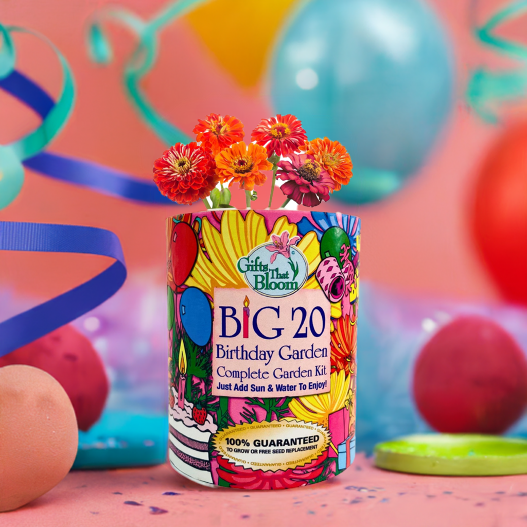 Big 20 Birthday Garden Grocan Seed Kit