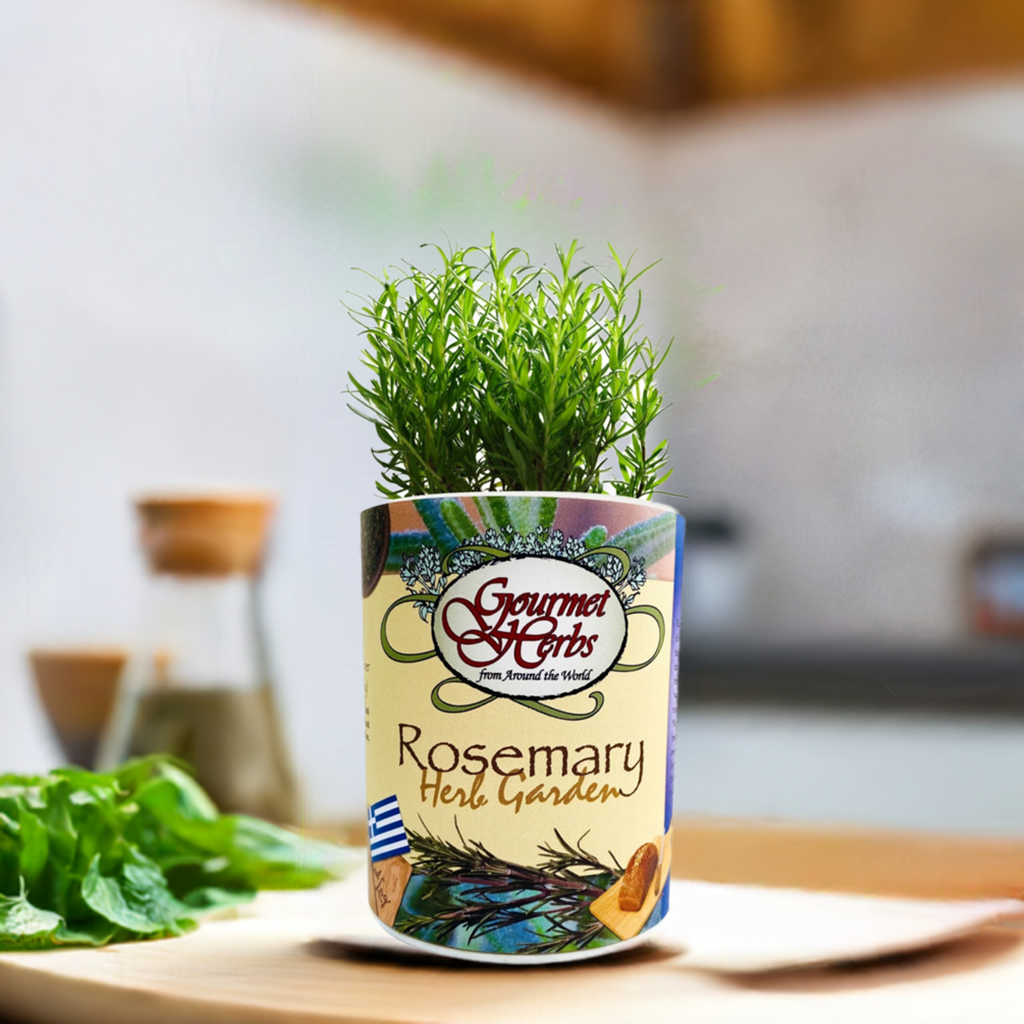 Rosemary Herb Garden Grocan Seed Kit
