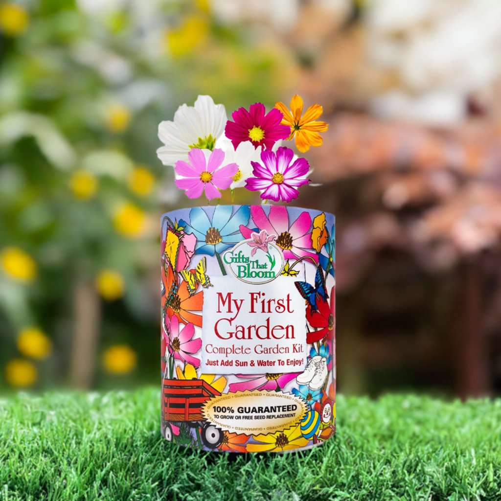 My First Garden Grocan Seed Kit