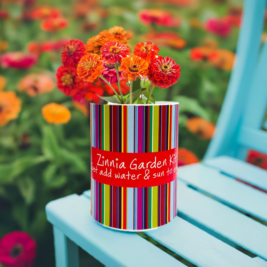 Zinnia Garden Grocan Seed Kit