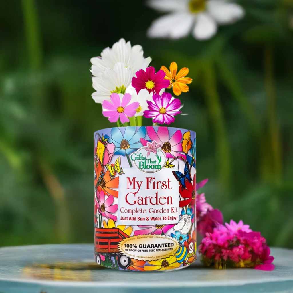 My First Garden Grocan Seed Kit