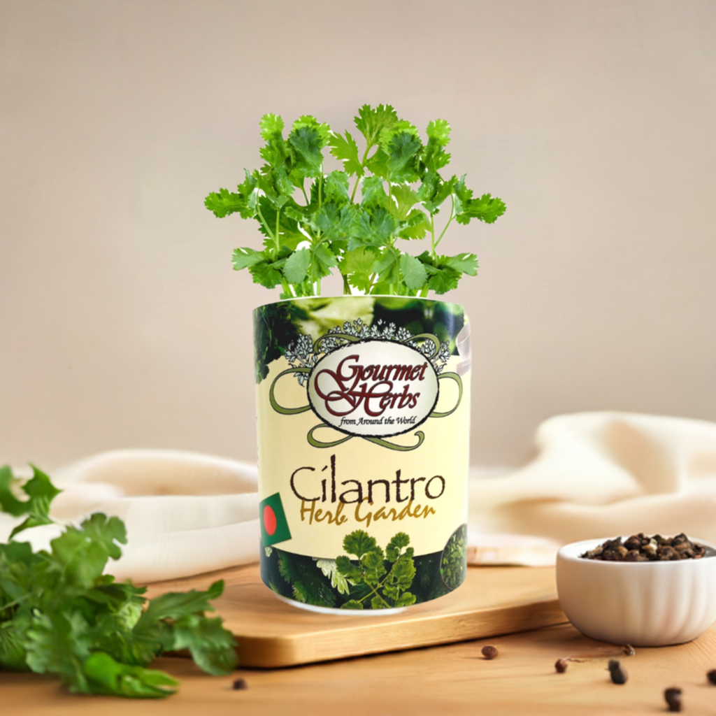 Cilantro Herb Garden Grocan Seed Kit