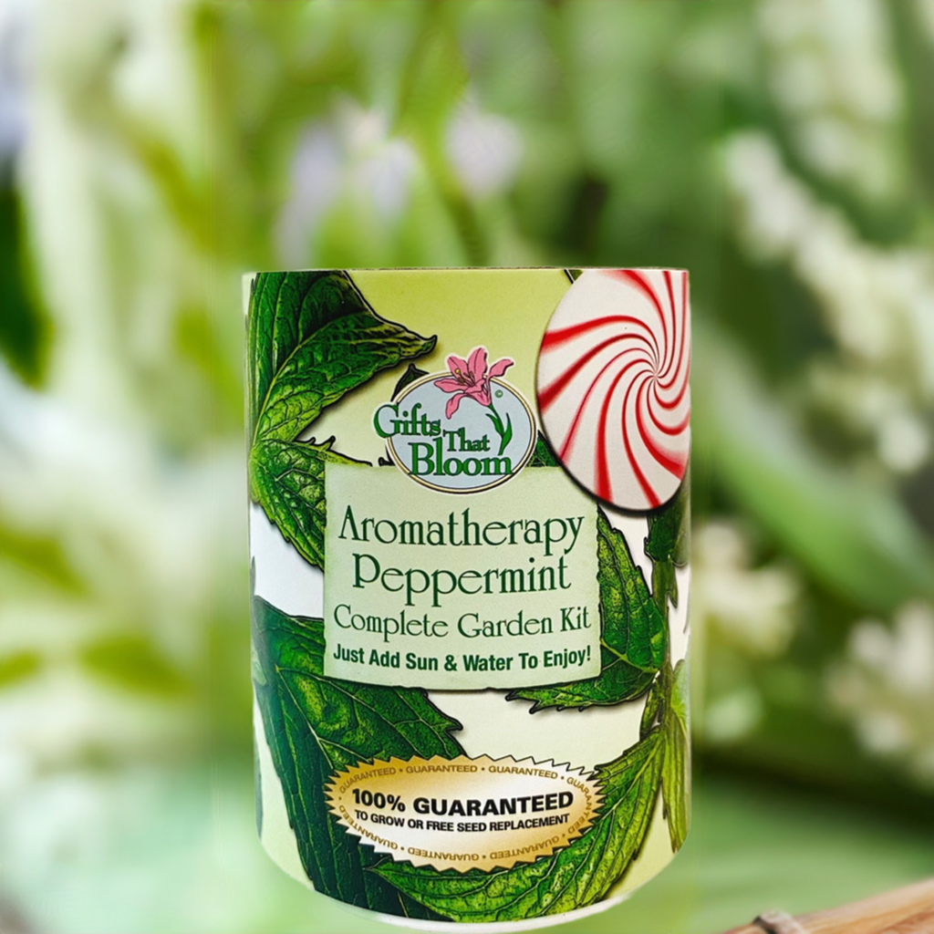 Aromatherapy Peppermint Garden Grocan Seed Kit