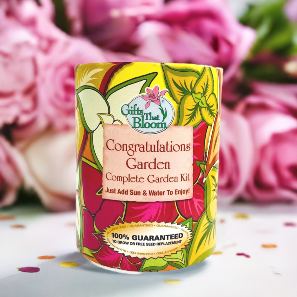Congratulations Garden Grocan Seed Kit