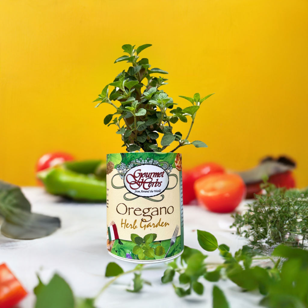 Oregano Herb Garden Grocan seed Kit