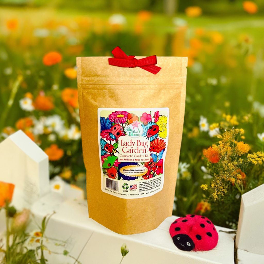Lady Bug Garden Grobag Seed Kit