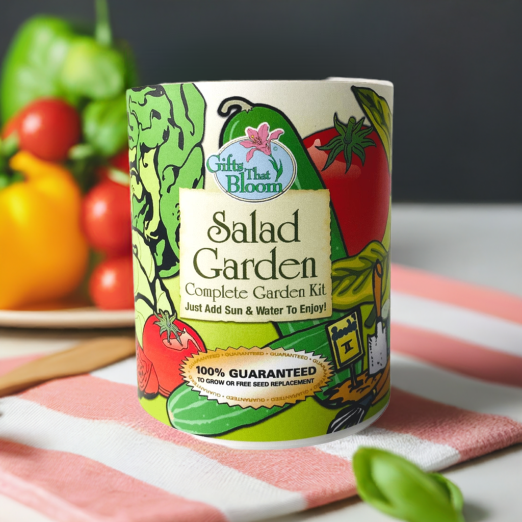 Salad Garden Grocan Seed Kit