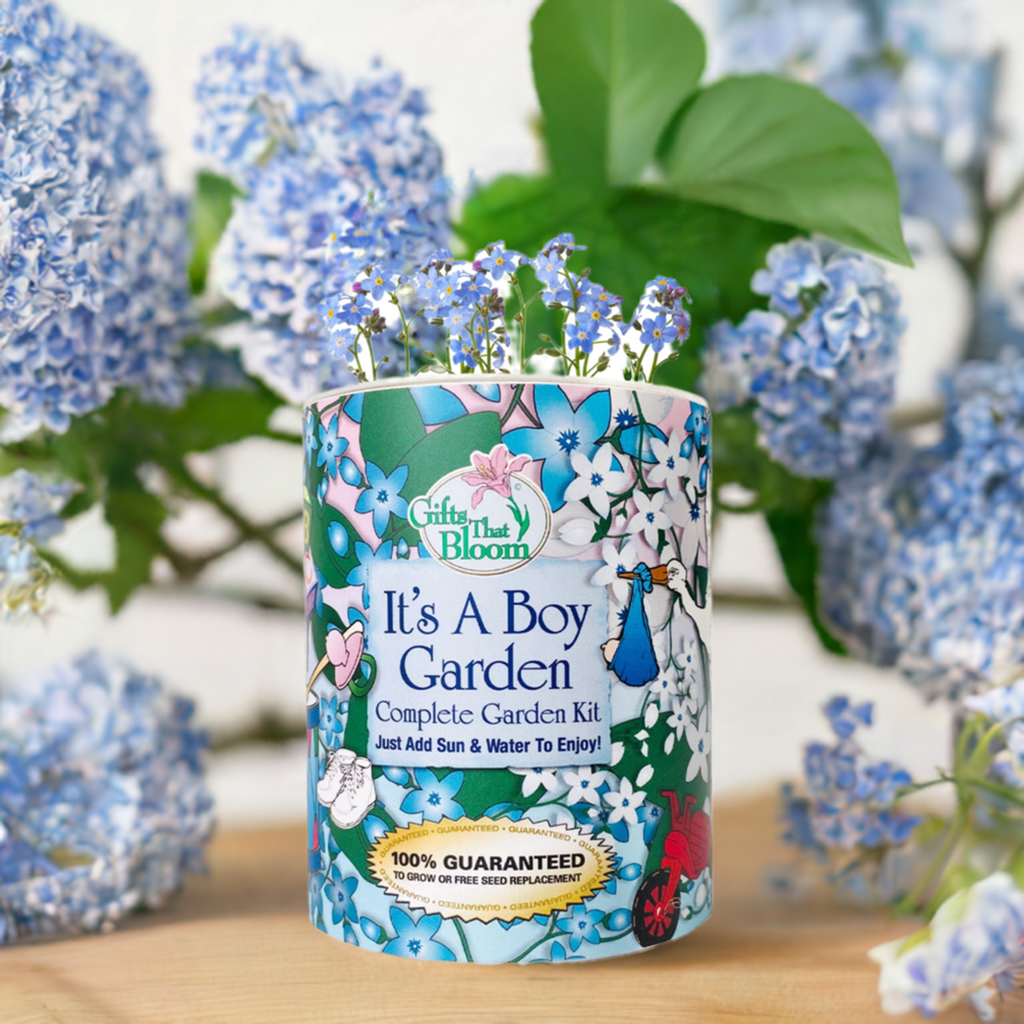 It's A Boy Garden Grocan Seed Kit